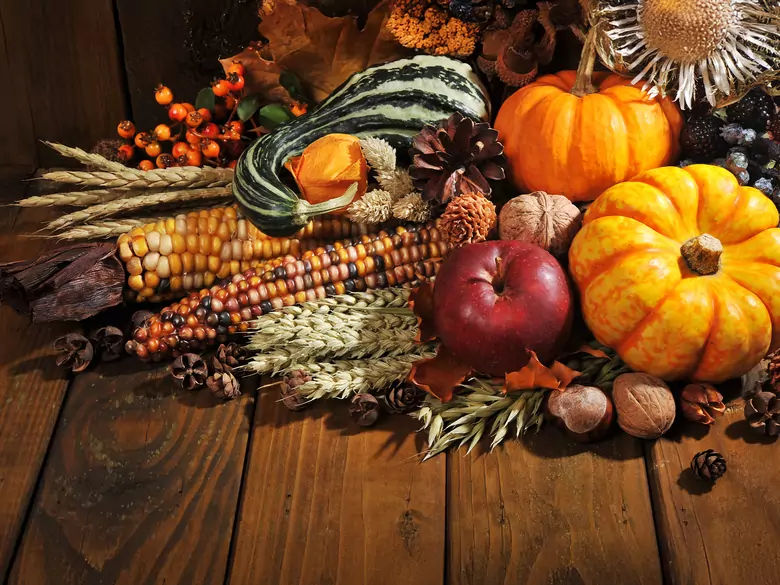 Przegląd superfoods, czyli wiem, co jem!