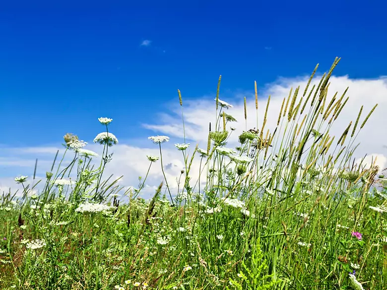 Paintball – gra w której możemy stracić wzrok?